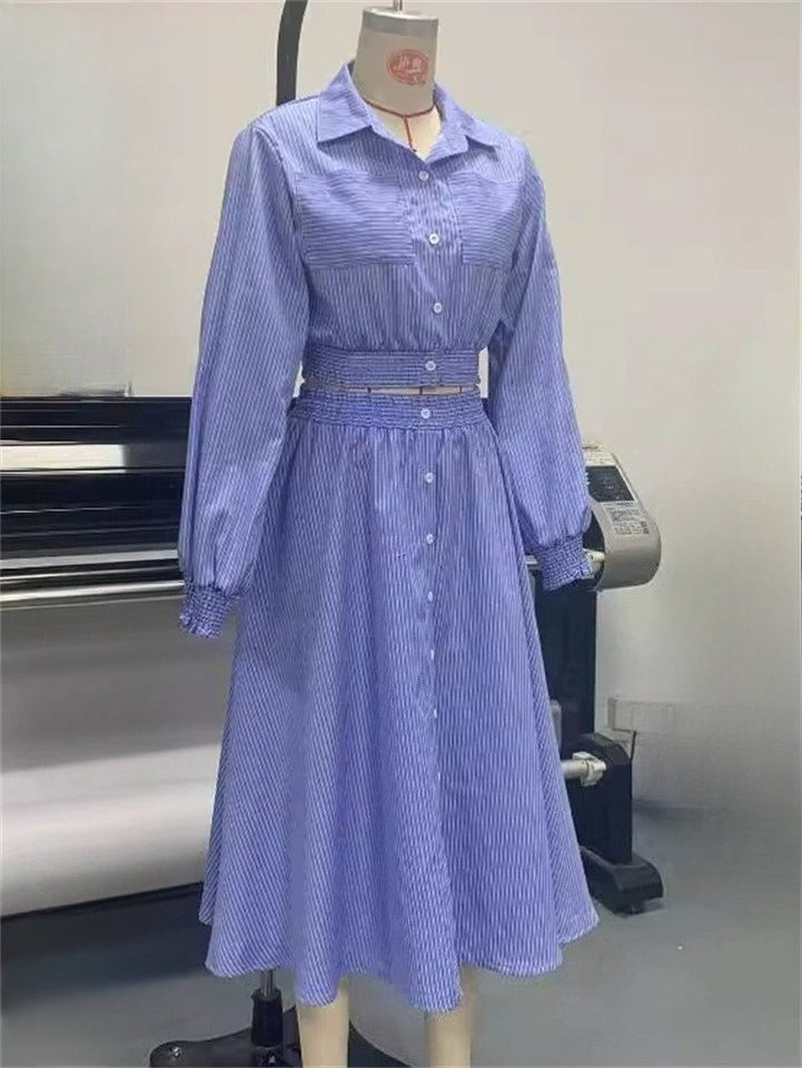 Ladies' 2Pcs Summer Trendy Blue Striped Long Sleeve Cropped Top & Skirt Set