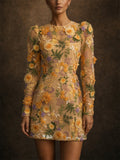 Women 3D Floral Embroidered Long Sleeve Mesh Mini Dress