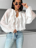 Women's French Style See Through Ruffle V-Neck Blouses