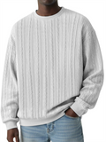 Men's Round Neck Cable-Knit Long Sleeve Casual Sweatshirts