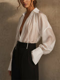 Women's Sheer V Neck Pleated Lantern Sleeve Blouse