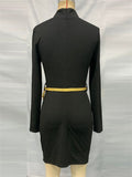 Women's Trendy Black Slim Fit Long Sleeve High Neck Dress
