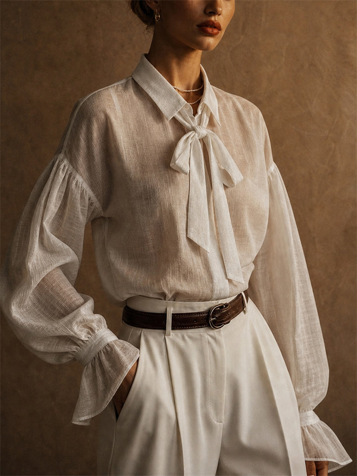 Womens Sheer Bow Tie Puff Sleeve Textured Button Up Blouse