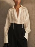 Women's Sheer V Neck Pleated Lantern Sleeve Blouse