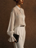 Womens Sheer Bow Tie Puff Sleeve Textured Button Up Blouse