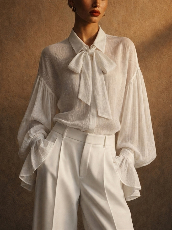 Womens Sheer Bow Tie Puff Sleeve Textured Button Up Blouse