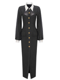 Sexy Trendy Black Mesh Patchwork Button Up Split Dress for Women
