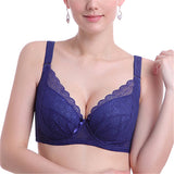Women's Plus Size Minimizer Busty Lace Bras - Purple