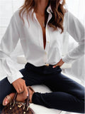 Women's Trendy Turn Down Collar Long Sleeve Printed Office Blouses