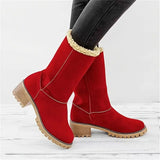 Warm Fur Lining Square Chunky Heel Suede Snow Boots for Women