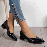 Elegant Female Pointed Toe Soft Rubber Sole Chunky Heel Pumps