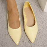 Classy Simple All Match Pointed Flat Heels Women's Loafers