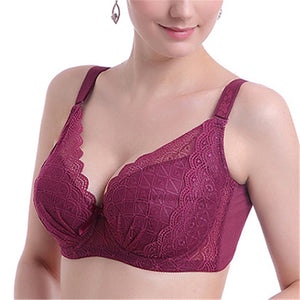 Women's Plus Size Minimizer Busty Lace Bras - Wine Red