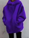 Casual Fashion Street Style Zipper Hooded Plush Hoodies For Women