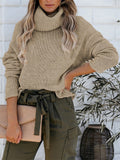 Women's Simple Turtleneck Pullover Knit Solid Color Sweater