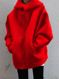 Casual Fashion Street Style Zipper Hooded Plush Hoodies For Women