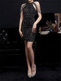 Graceful Shiny Sequins Slim Halter-Neck Sleeveless Party Dresses