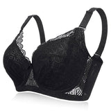 Women's Plus Size Minimizer Busty Lace Bras - Black