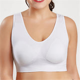 New Casual Plus Size Bras For Women Seamless Bra With Pads Sporty Vest