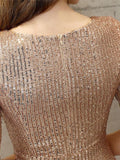 Shiny Sequined V Neck Fitted Waist Mermaid Maxi Dress for Evening Party