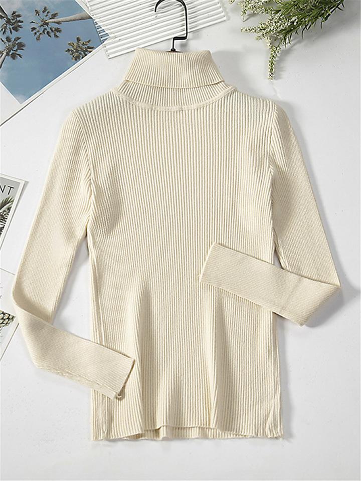 Simple Thermal Knitted Turtleneck Sweater T-Shirt For Women