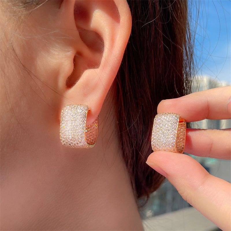 Fascinating New Popular Shiny Women's Earrings