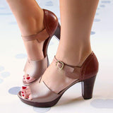 Women's Elegant Chunky Heel Ankle Strap Spring Sandals