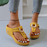 Summer Vacation Wedge Heels Slip On Sandals for Women