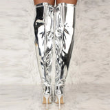Silver Pointed Toe High Thin Heels Long Boots